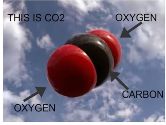 mechanism for carbon dioxide poisoning