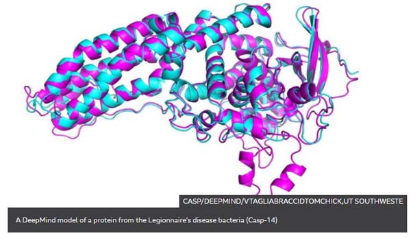 One Of Biology’s Biggest Mysteries ‘largely Solved’ By AI | Principia ...