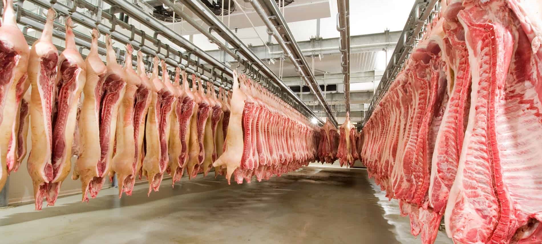 UK Govt’s Insane Carbon Mission to Teach Brits Meat is a ‘Treat