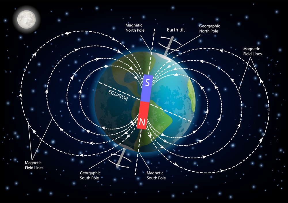 Geomagnetic Extinction: A Paramount Science Disagreement | Principia ...