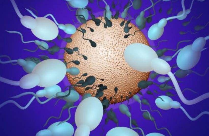 Lab Generated Sperm Created At Israeli University Principia Scientific Intl
