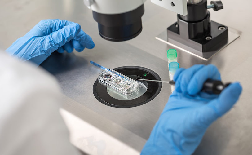 Do Cytopathic Effects Prove “Viral” Replication? | Principia Scientific, Intl.