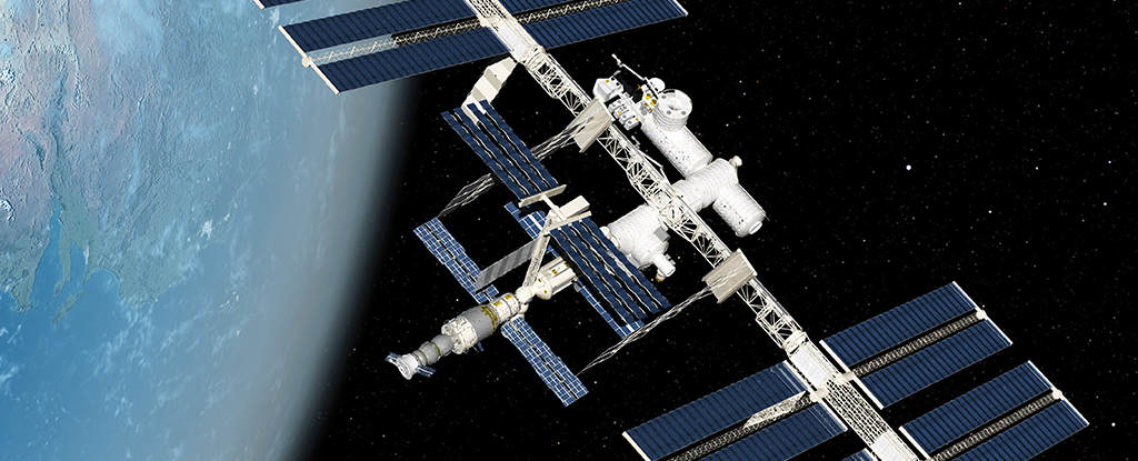 Stem Cells Grown in Space Turn Out to Have a Surprise Advantage ...