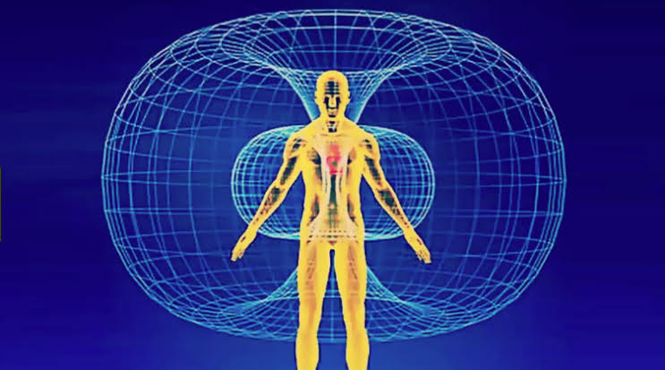 Top EMF Expert Reveals the Health Risks of Electromagnetic Fields ...