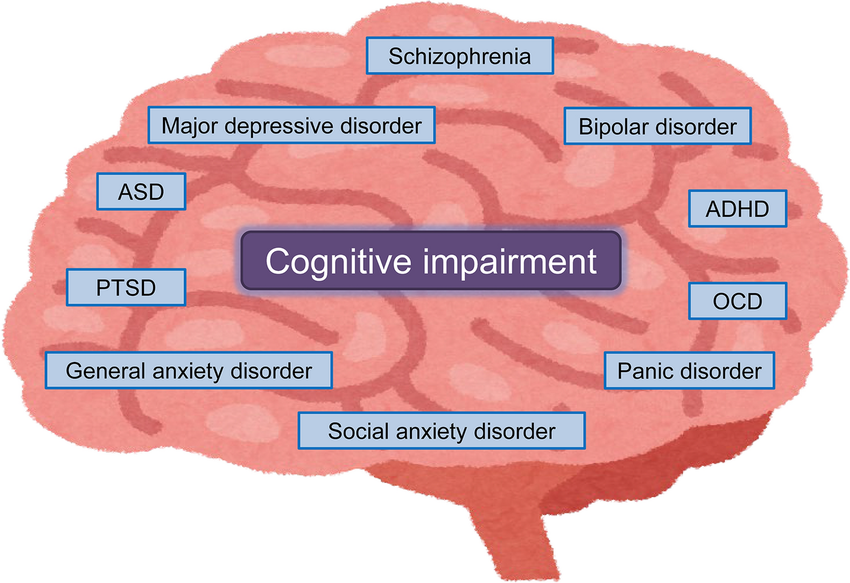 New Study Finds Cognitive Impairment Skyrocketing In USA | Principia ...