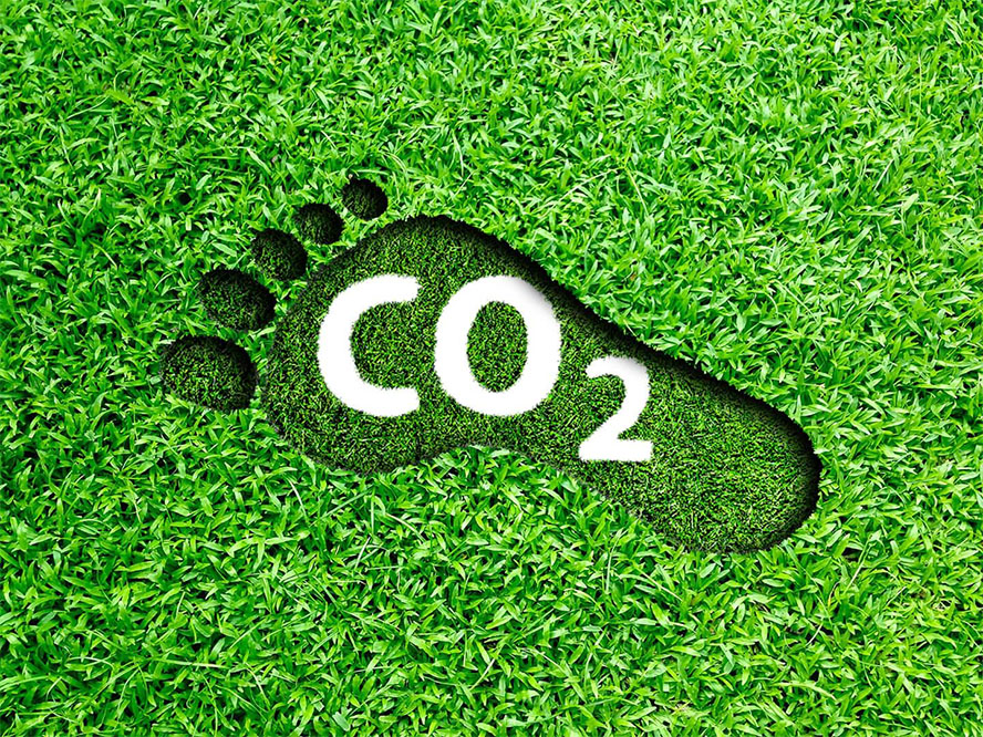 The Idiocy Around the UK's Carbon Footprint