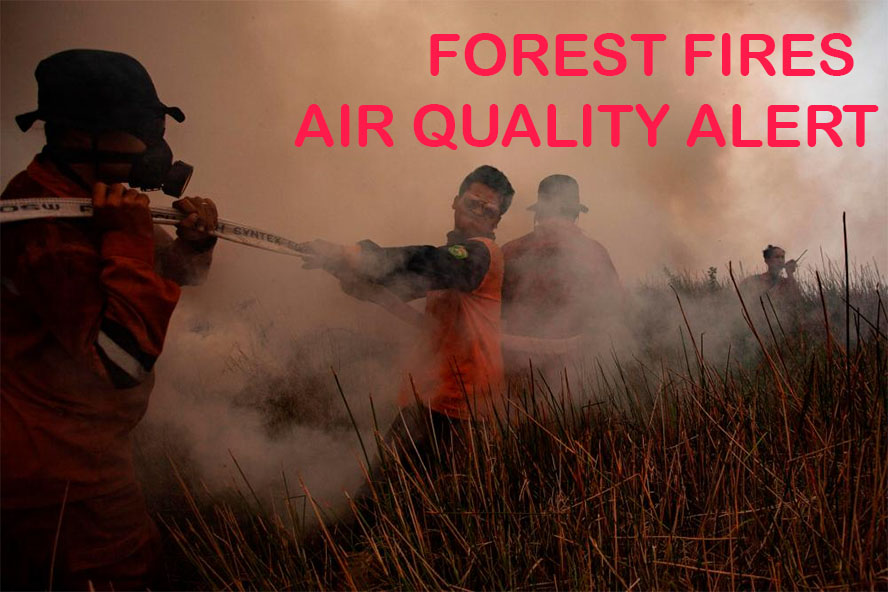 Forest Fires are More Toxic Than You Think — Here's Why